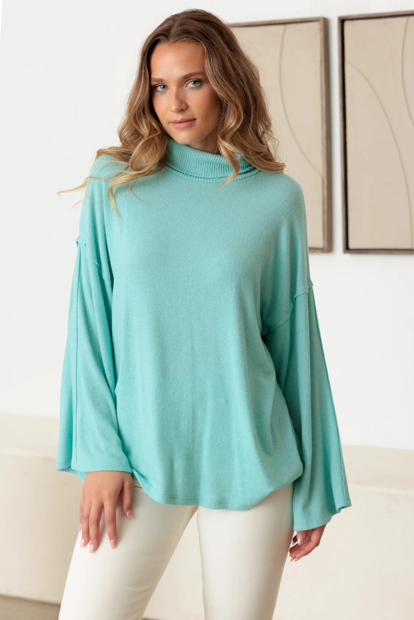 Turtle Neck Wide Long Sleeve Soft Touch Top