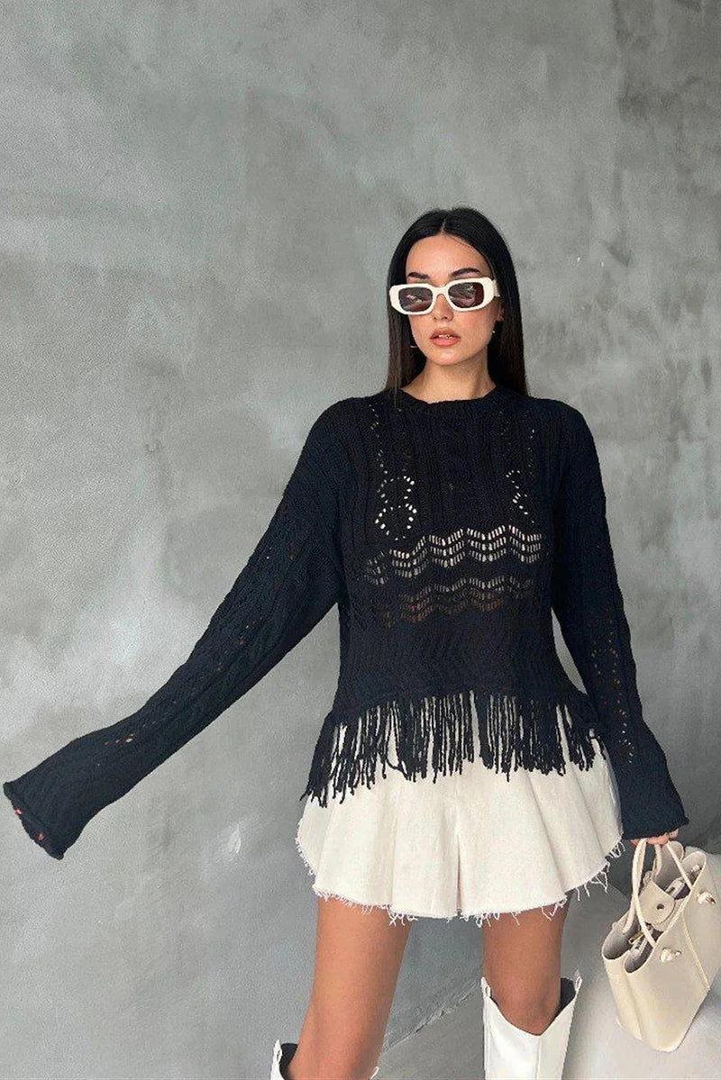 Crochet Hollow Out Fringe Long Sleeve Sweater