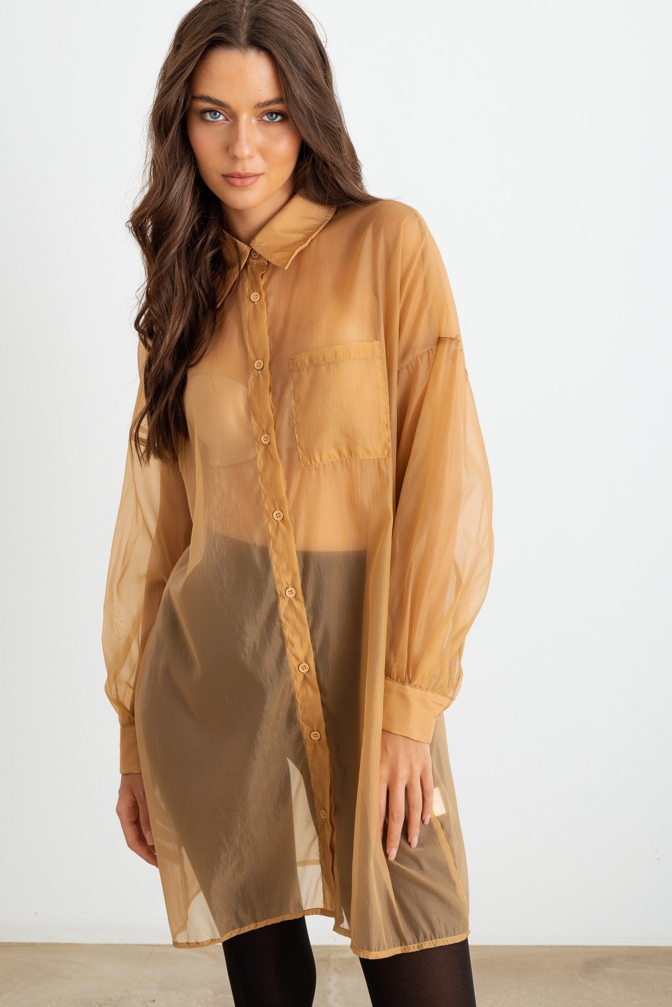 Sheer Mesh Button-Up Long Sleeve Shirt front zoom