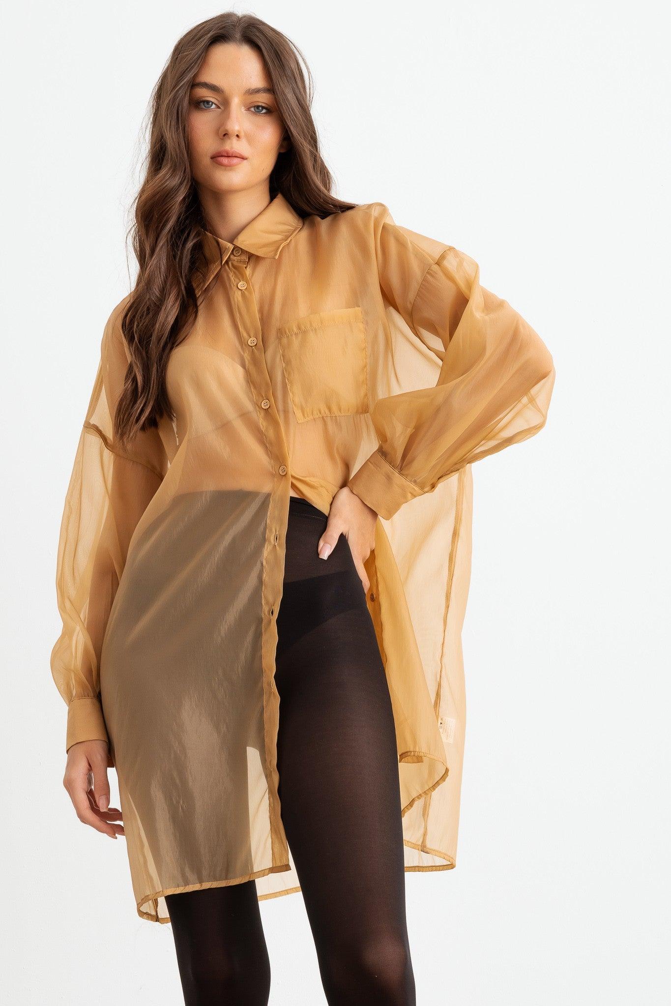 Sheer Mesh Button-Up Long Sleeve Shirt front