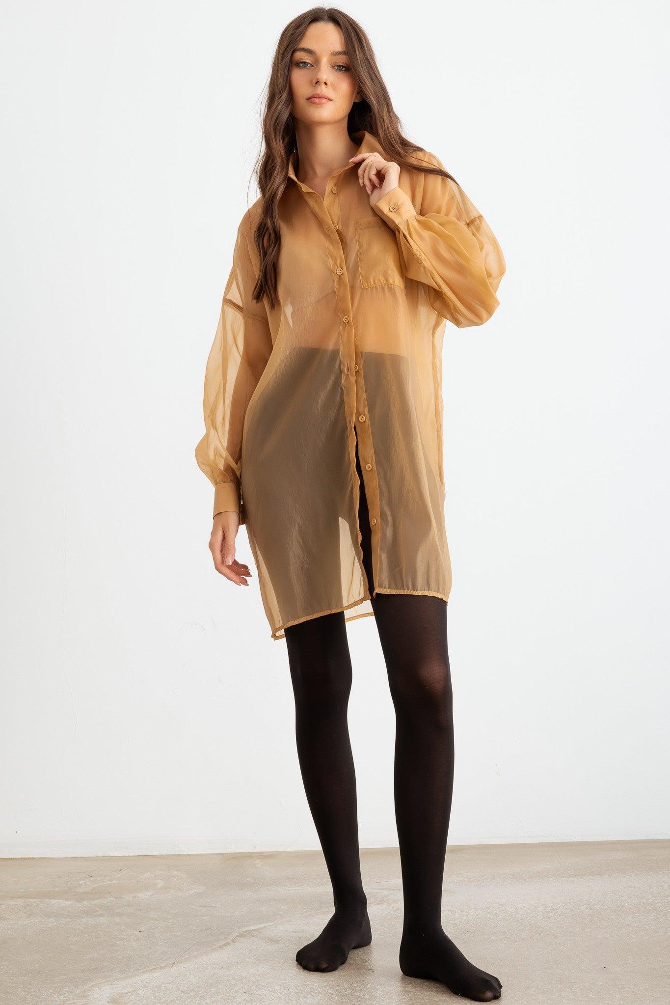 Sheer Mesh Button-Up Long Sleeve Shirt full